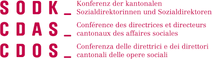 Image 13 recommandations de la CDAS et de la CDIP sur la qualité et le financement de l'accueil de l'enfance